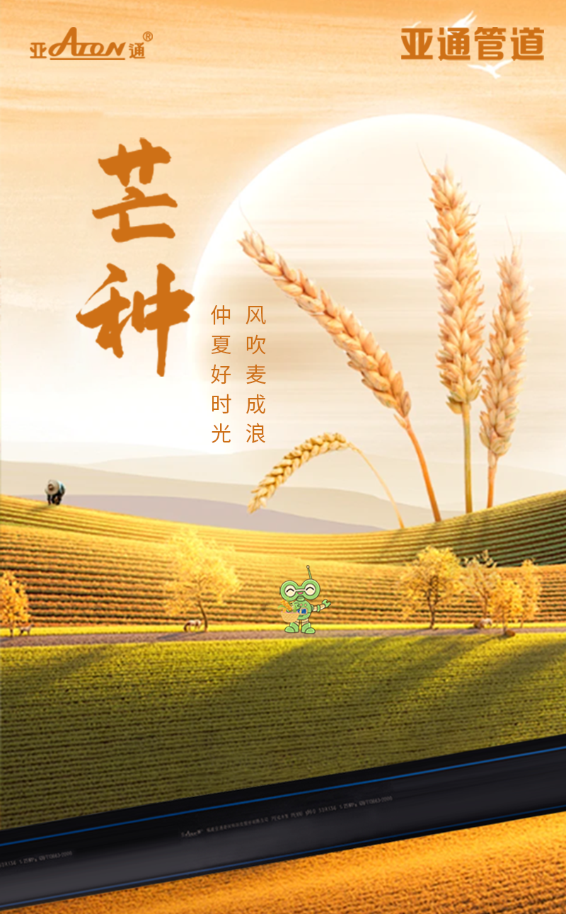 芒種 | 風吹麥成浪，仲夏好時光